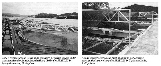 Abbildungen: Netzk&auml;fige, Versuchsbecken